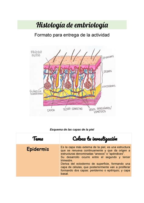 Histología de embriología Histología de embriología Formato para