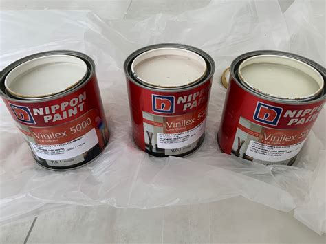 Nippon Paint Ash White Light Gauze Silent Hour Cool Spring Bonito