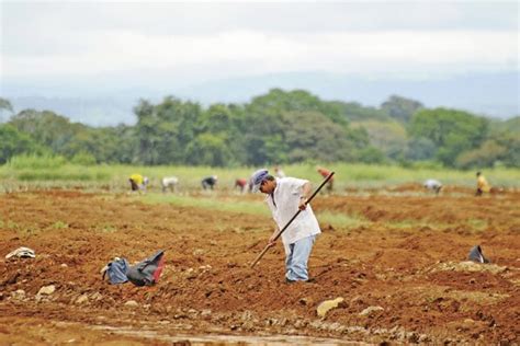 CIVENPA Cámara de Integración Venezolana Panameña Sector agrícola