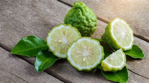 The Health Benefits Of Bergamot Oil Pt Tamba Sanjiwani