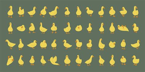 Duck yellow collection 26179244 Vector Art at Vecteezy