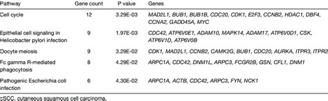 Functional enrichment analysis of signaling pathways associated with ... 