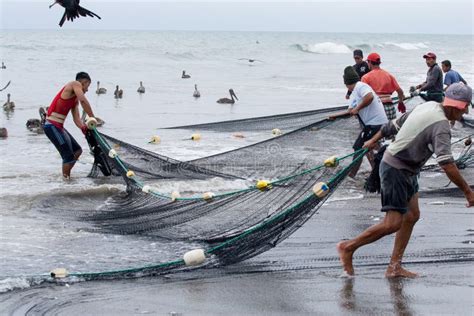 Pescadores Ecuatorianos Que Tiran En Sus Redes Foto Editorial Imagen