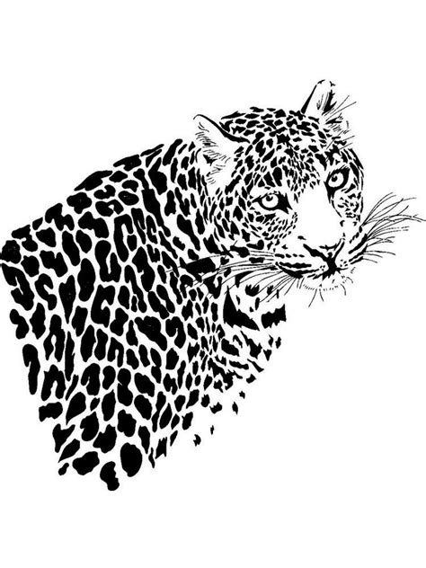 Leopard Wall Leopard Animal Snow Leopard Animal Silhouette