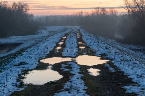 Naked Forest Images Stock Photos Free Royalty Free Stock Photos From Dreamstime