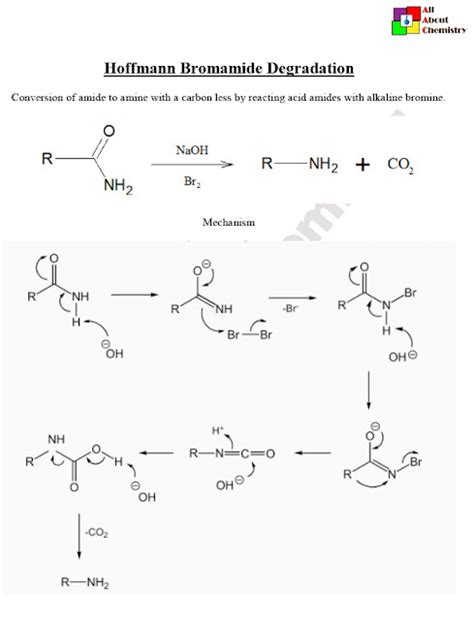 hoffmann bromamide degradation   chemistry