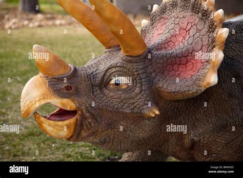 Triceratops Dinosaur Statue Drumheller Alberta Canada Stock Photo