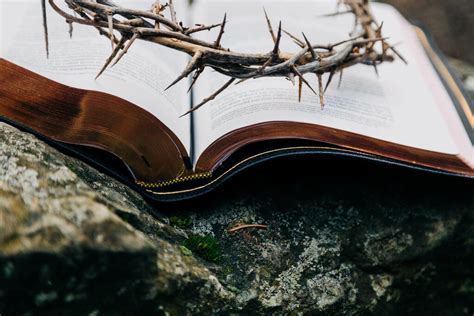 The Crown Of Thorns Sitting On An Open Bible Church Stock Photos