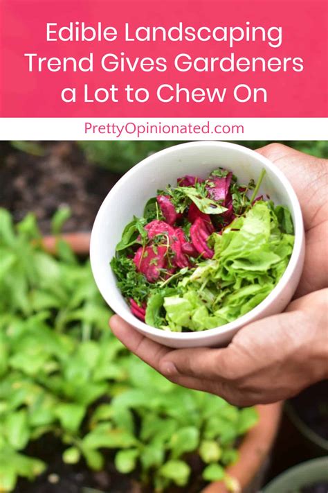 Edible Landscaping Trend Gives Gardeners A Lot To Chew On | Pretty