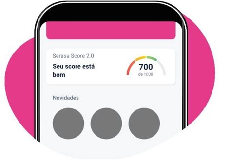 Aprenda A Aumentar O Seu Score No Serasa Seguindo Algumas Dicas Simples