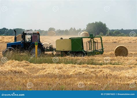 Tractor Collects Hay Bales In The Fields A Tractor With A Trailer