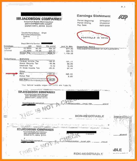 Truck Driver Pay Stub Template