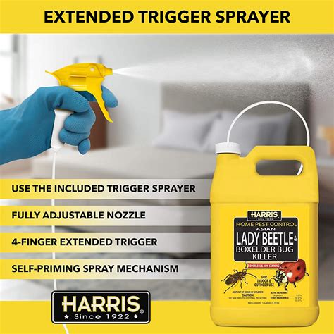 Harris Home Pest Control Asian Lady Beetle And Box Elder Bug Killer 128 Pf Harris