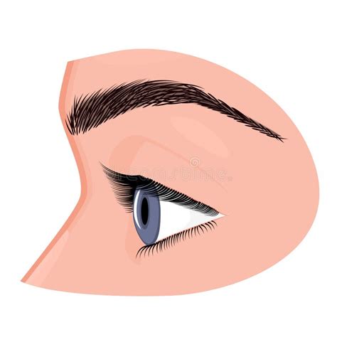 Eye Side Clipart