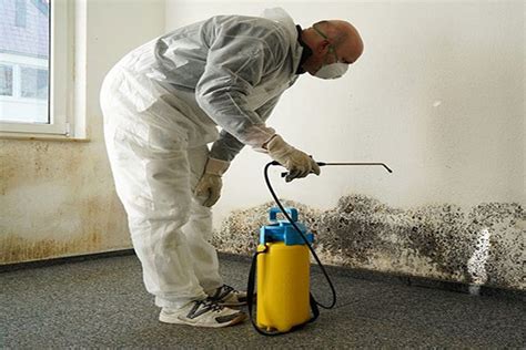 Mold Damage Restoration Restoration Pro Lehigh Valley