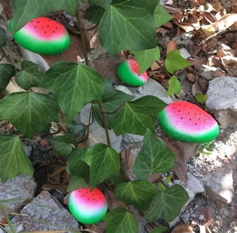 Watermelon Painted Rocks Part 2 Recycled Crafts