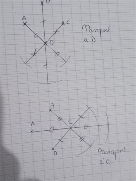 Reproduire Cette Figure Et Construire Les Sym Triques De Ces Quatres