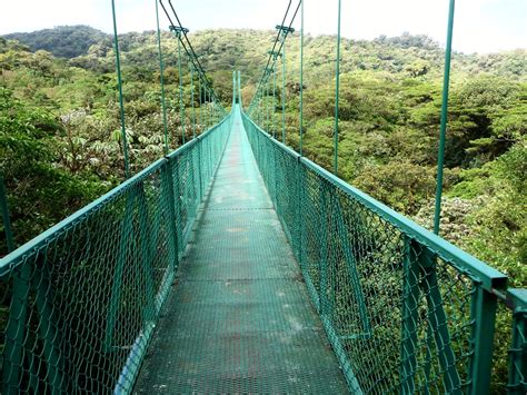 La For T Nuageuse De Santa Elena Monteverde Costa Rica Flickr