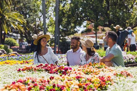 Top Things To Do In Toowoomba Activities And Tours Queensland