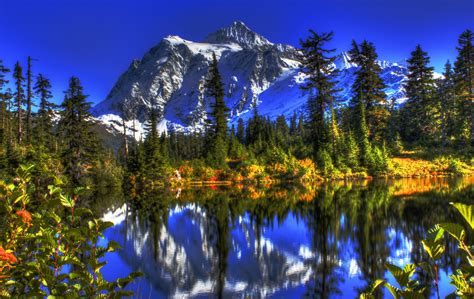 Usa Lake Mountains Washington Spruce Hdr Hd Wallpaper Rare Gallery