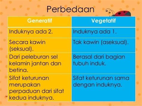 Apa Perbedaan Generatif Dan Vegetatif Versus Beda