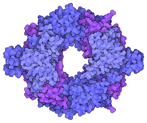 Pdb Molecule Of The Month Sars Cov Rna Dependent Rna Polymerase