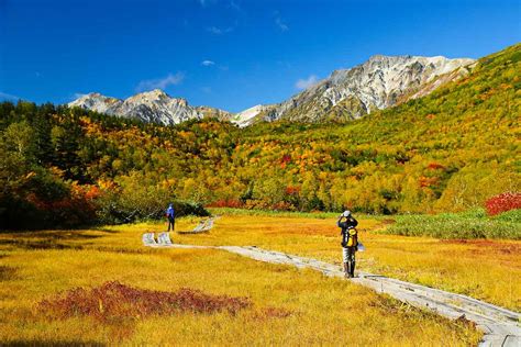 白馬山麓に広がる圧巻の自然美！北アルプス中部山岳国立公園「栂池自然園」に紅葉シーズン到来 Drive Nippon ドライブ関連情報サイト