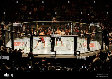 Octagon Ufc