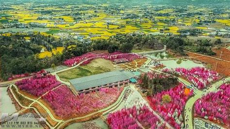 以「鄉村旅遊」撬動全域旅遊 每日頭條