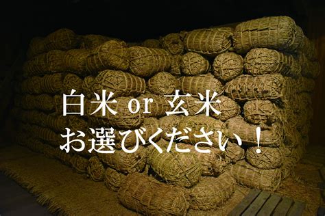 【楽天市場】【愛知あきたこまち】 【6年産】新米 米 玄米30kg 白米27kg お米 あきたこまち 秋田小町 送料無料 玄米 白米 国産