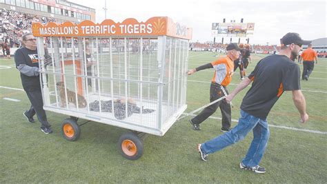 Live Tiger Mascot Obie Makes Appearance At First Massillon Football Game