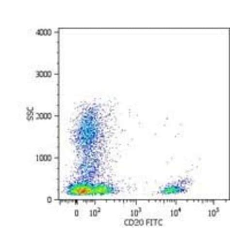 CD20 Monoclonal Antibody LT20 Invitrogen 100 μg Unconjugated