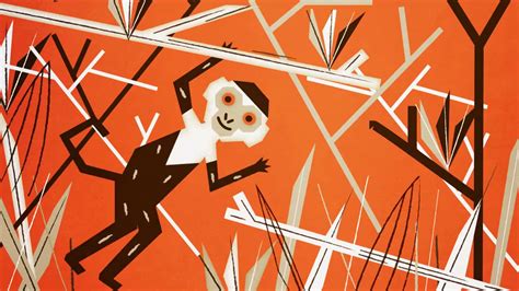 Animal Curiosities On Vimeo
