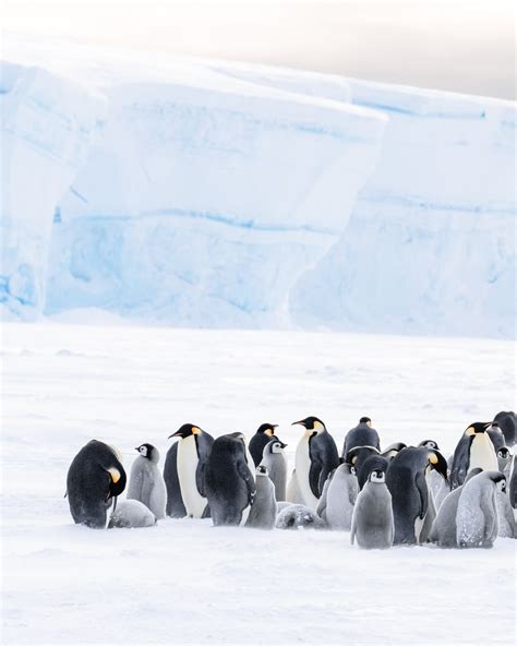 The first time in history humans have laid eyes on the Lazarev North