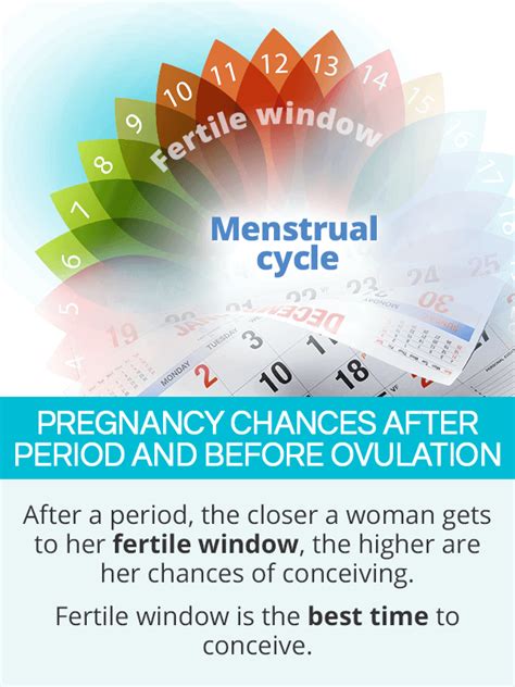 Chances Of Getting Pregnant How To Increase Your Chances Of Getting