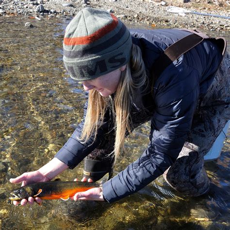 Native Fish Coalition Presents On Rare Arctic Charr — Native Fish Coalition