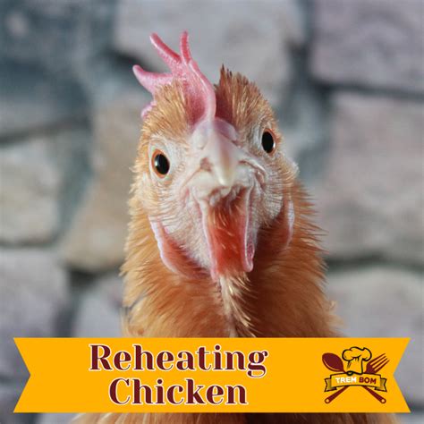 Best Ways to Reheat Chicken Without Drying It Out - TremBom