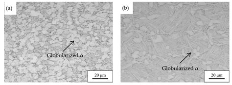 Metals Free Full Text Characterization Of Microstructural Evolution