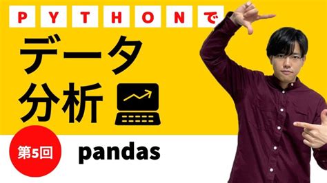 【pythonでデータ分析5】pandas Pythonちゃん