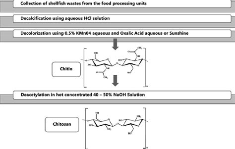 Chitosan Production A Schematic Representation Download Scientific