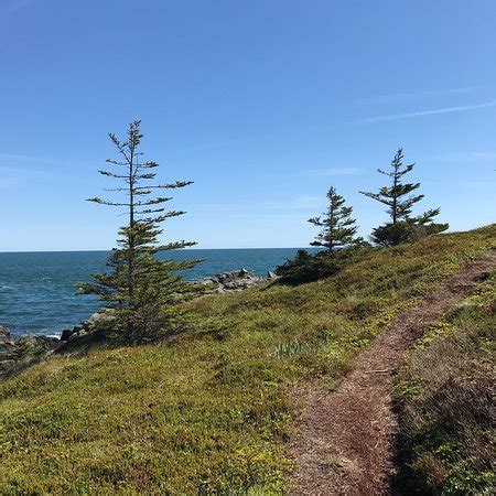 Western Head Preserve Cutler Maine - 2020 All You Need to Know BEFORE ...