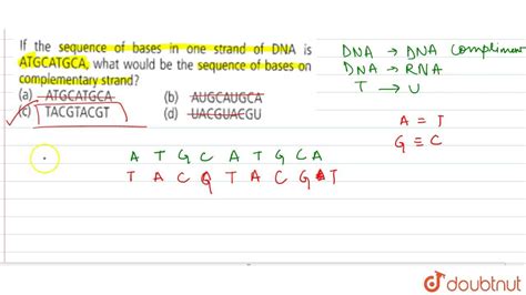 Base Sequence Of Dna