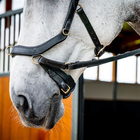 bridle horsewear micklem multi bridle  black epplejeck