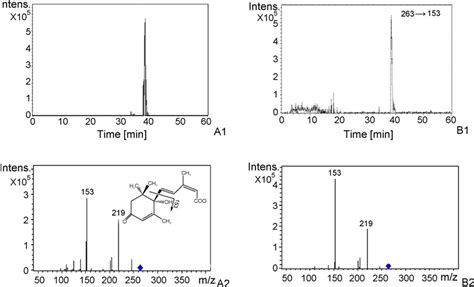 Lcmsms Chromatograms Of A1 Aba Standard Total Ion Chromatogram Download Scientific