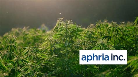 Five Reasons to Buy Aphria (APHA) Stock Before Tilray (TLRY) Merger