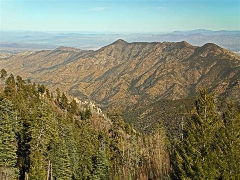 Mt Lemmon Scenic Byway Self Guided Gps Audio Tour Getyourguide