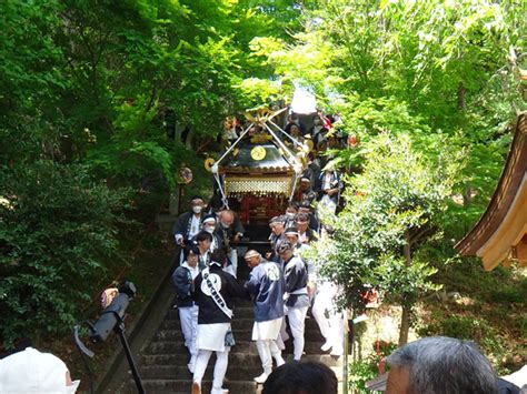 まいてぃの神輿日和 令和5年 神奈川県足柄上郡中井町 五所八幡宮 例大祭 神輿渡御