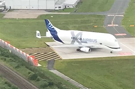 Beluga plane circles in high winds before it's forced to abort landing - Liverpool Echo