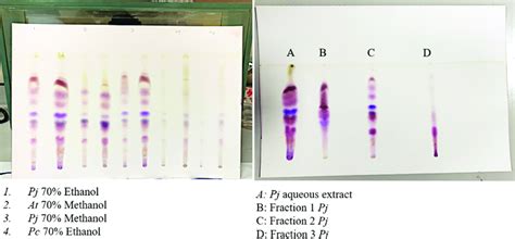 A Thin Layer Chromatography Development Of Different Plant Extracts