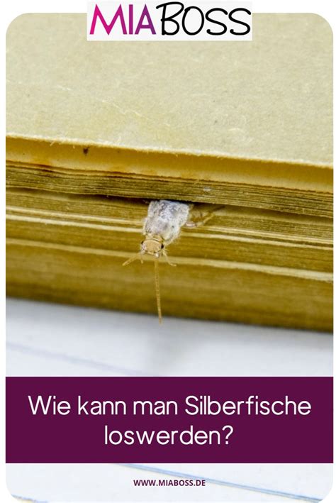 Silberfische In Der Wohnung Wie Silberfische Bek Mpfen Tipps